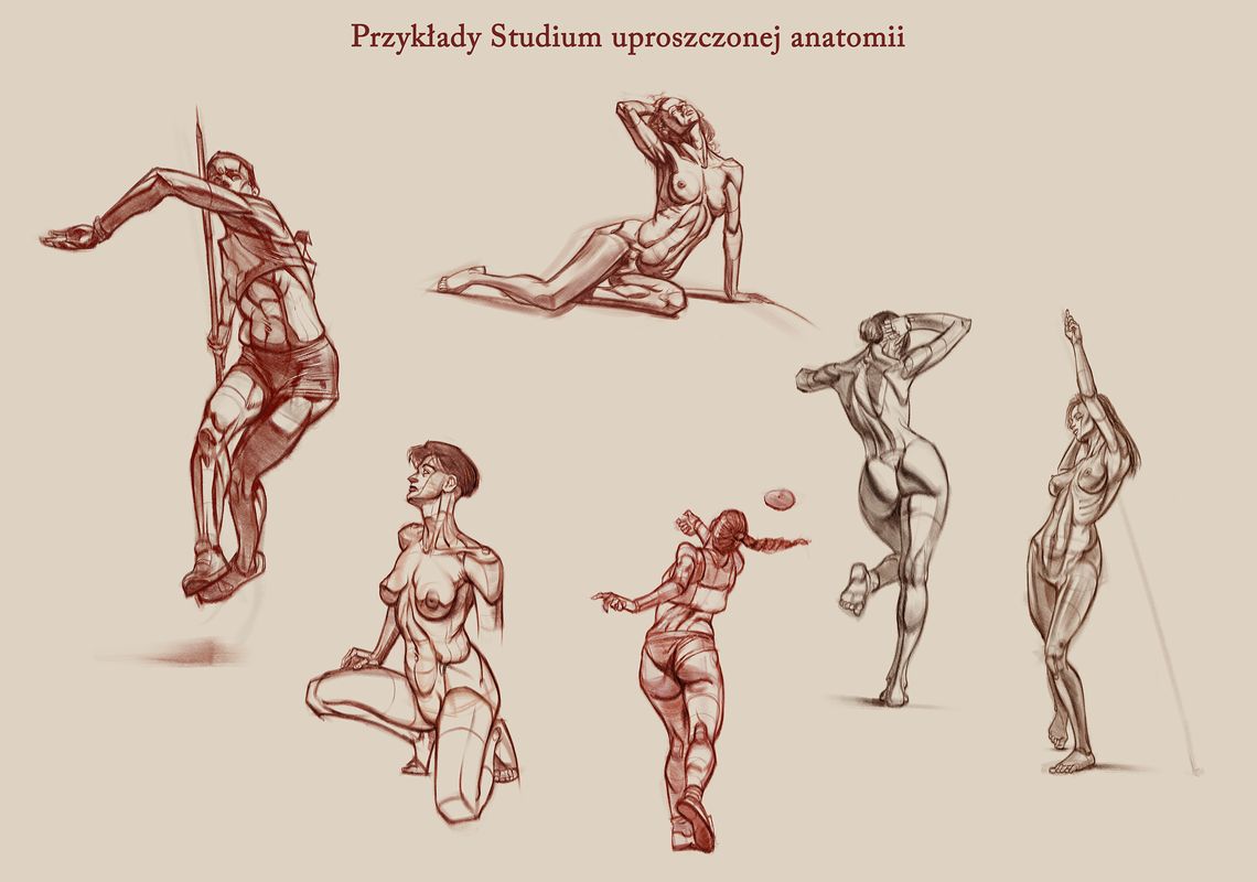 03 studium_01